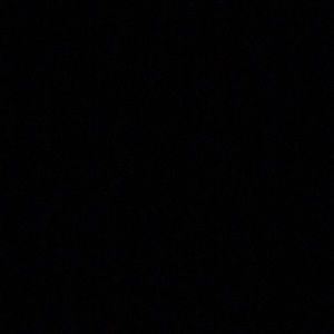 Meet your Posher, Dillon